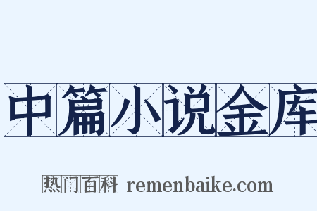 中篇小说金库是什么意思的图片